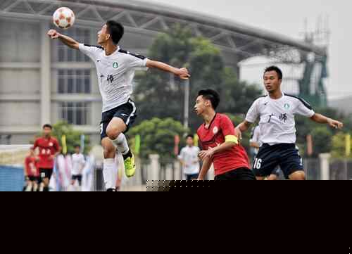 澳超前瞻：阿德莱德联本赛季客场全败，惠灵顿凤凰急需主场抢分